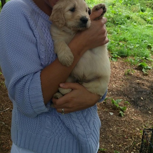 Jcrew cropped cotton cable knit sweater - Picture 2 of 3